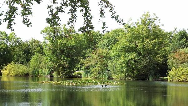 The lake surrounding Brickyard Lakes' holiday homes in North Yorkshire